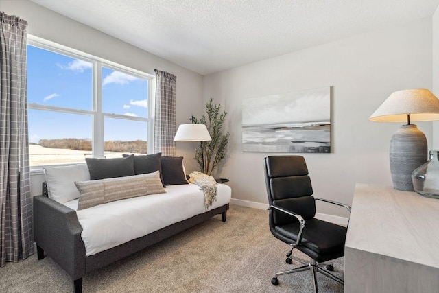 carpeted office space with baseboards and a textured ceiling