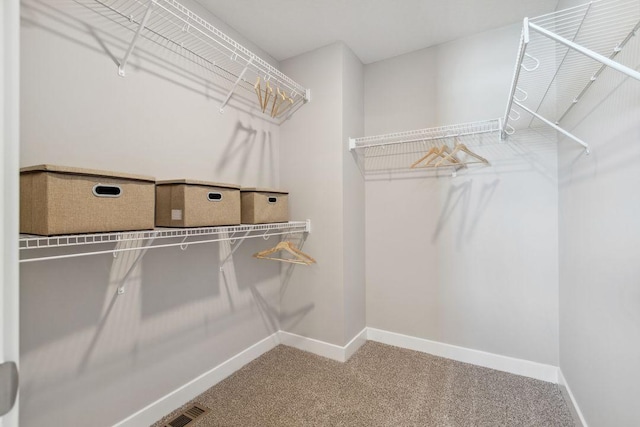 spacious closet with visible vents and carpet floors