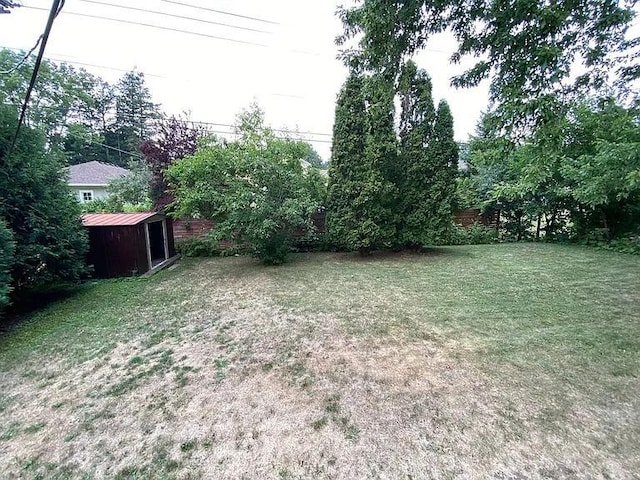 view of yard featuring an outdoor structure