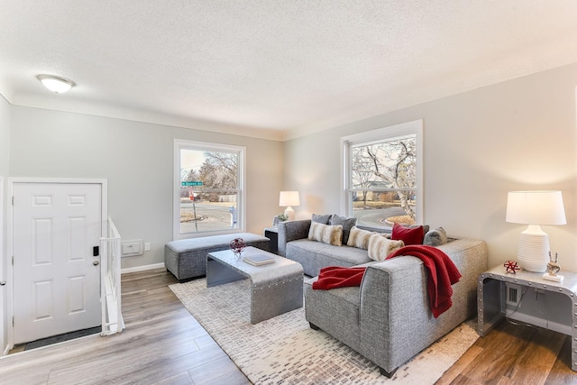 living area featuring light wood finished floors, baseboards, and a textured ceiling