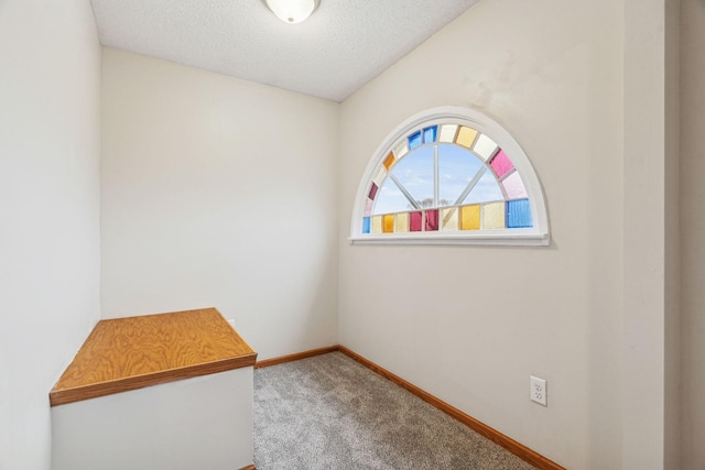 spare room with carpet, baseboards, and a textured ceiling