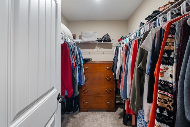 walk in closet with carpet floors