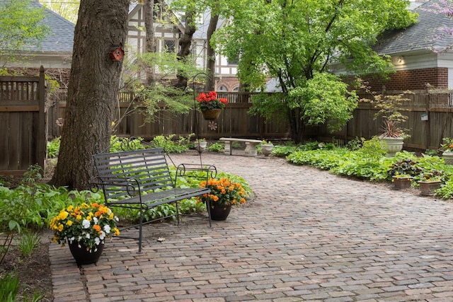 surrounding community featuring a patio area and a fenced backyard