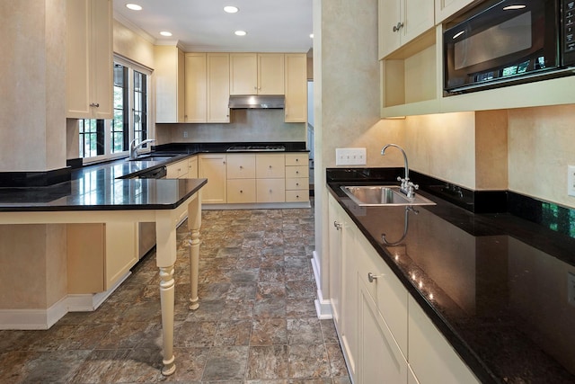 1769 Dupont Ave S Unit 1, Minneapolis, MN 55403 - kitchen featuring black microwave, a sink, dark stone finish floors, tasteful backsplash, and ornamental molding