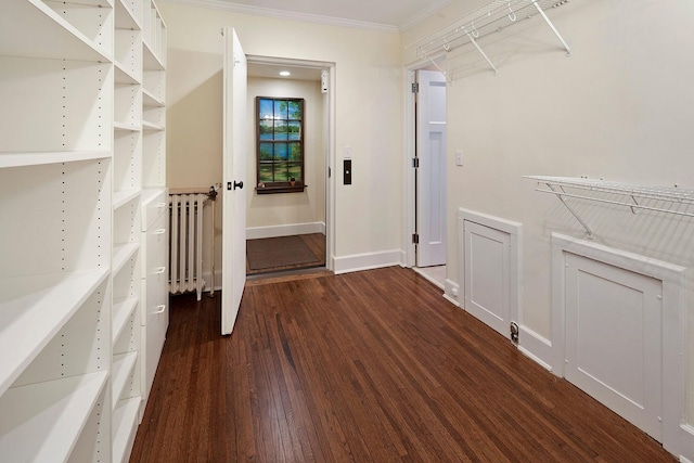 1769 Dupont Ave S Unit 1, Minneapolis, MN 55403 - walk in closet featuring radiator heating unit and dark wood-type flooring