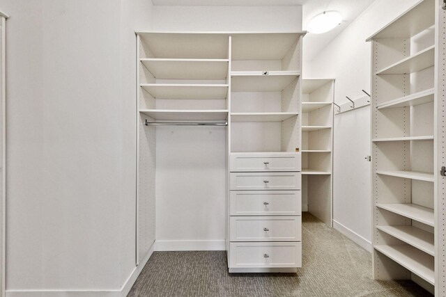 spacious closet featuring carpet floors