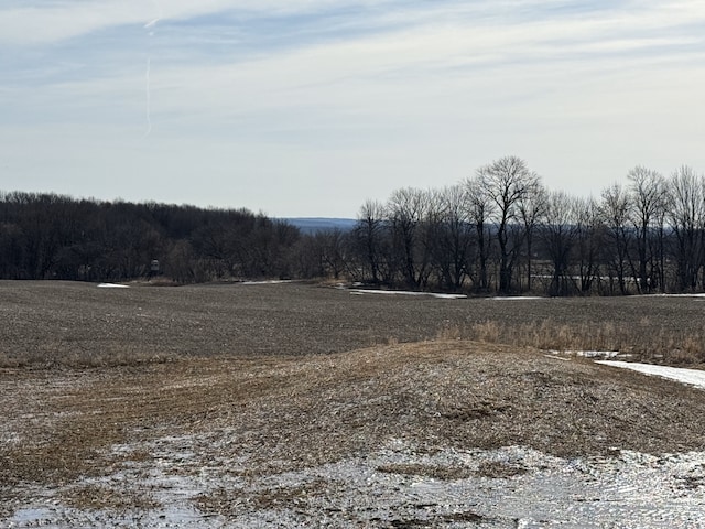 view of local wilderness with a rural view