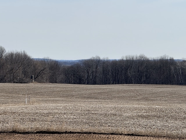 mountain view with a rural view and a forest view