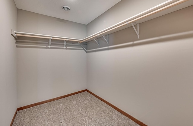 walk in closet featuring carpet flooring