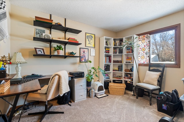 carpeted office space featuring a textured ceiling