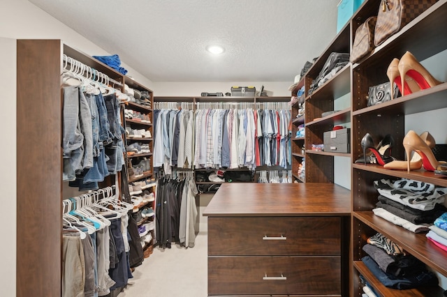 spacious closet featuring carpet flooring