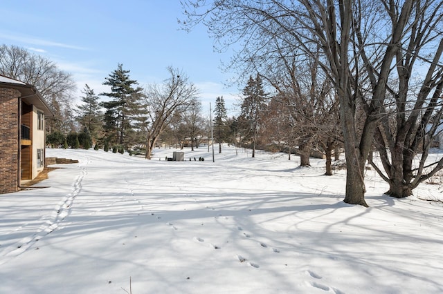 view of snowy yard