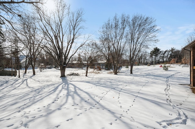 view of yard covered in snow