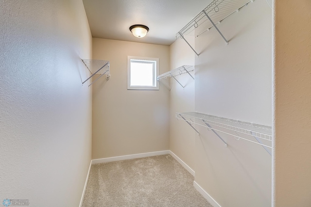 walk in closet featuring light colored carpet