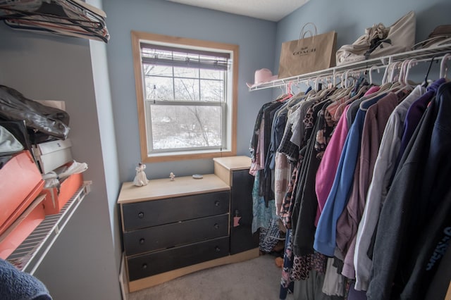 walk in closet featuring carpet flooring