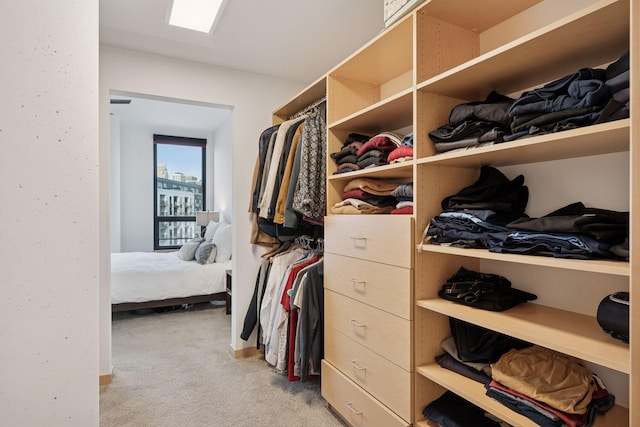 walk in closet with light colored carpet