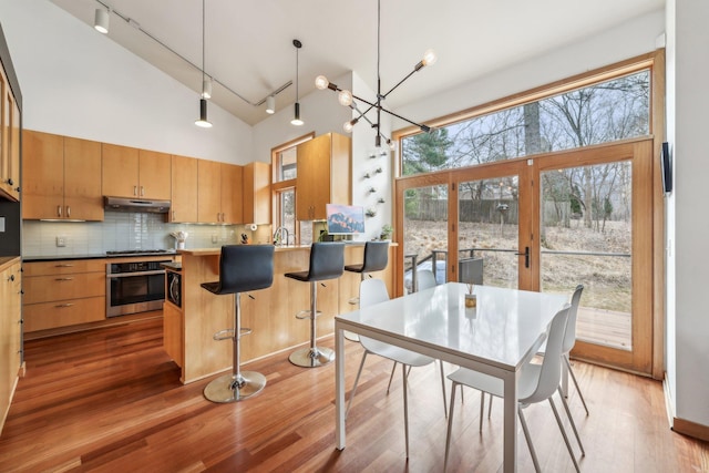 kitchen with light wood finished floors, decorative backsplash, stainless steel appliances, under cabinet range hood, and high vaulted ceiling