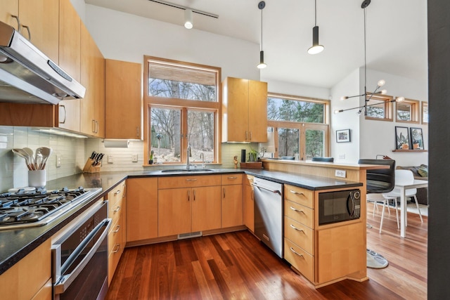 kitchen featuring dark wood finished floors, a peninsula, stainless steel appliances, under cabinet range hood, and a sink