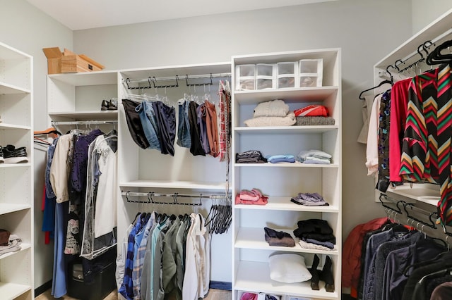 view of walk in closet