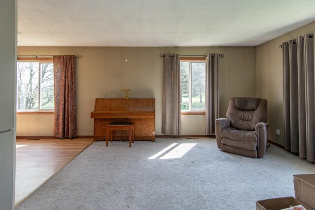 4647 County Road 121, Fort Ripley, MN 56449 - living area featuring plenty of natural light, carpet, and baseboards