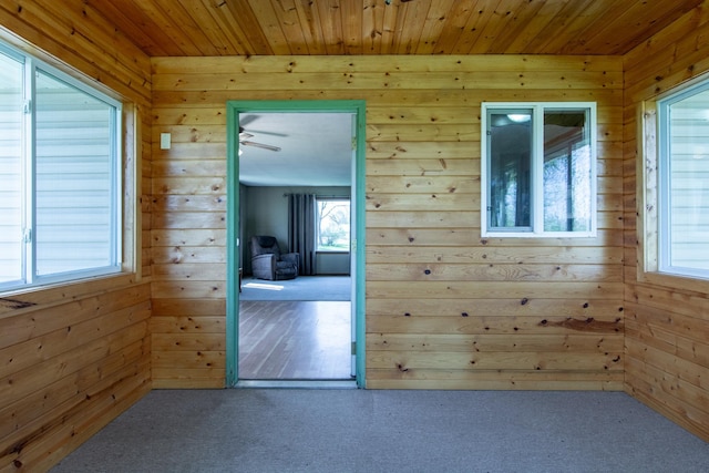 4647 County Road 121, Fort Ripley, MN 56449 - spare room with wooden walls, wood ceiling, and carpet flooring