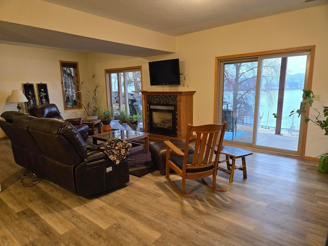 living room with wood finished floors and a fireplace