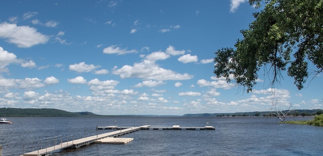 1702 Lakeshore Dr Unit 8, Lake City, MN 55041 - view of dock featuring a water view