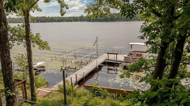 dock area with a water view