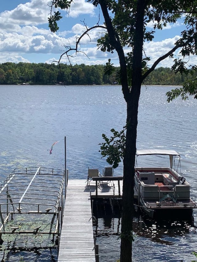 view of dock with a water view