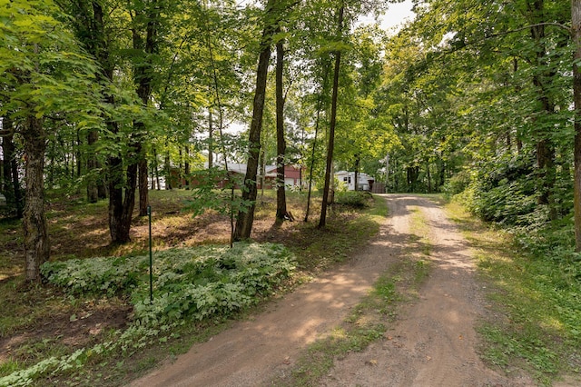 view of street featuring driveway