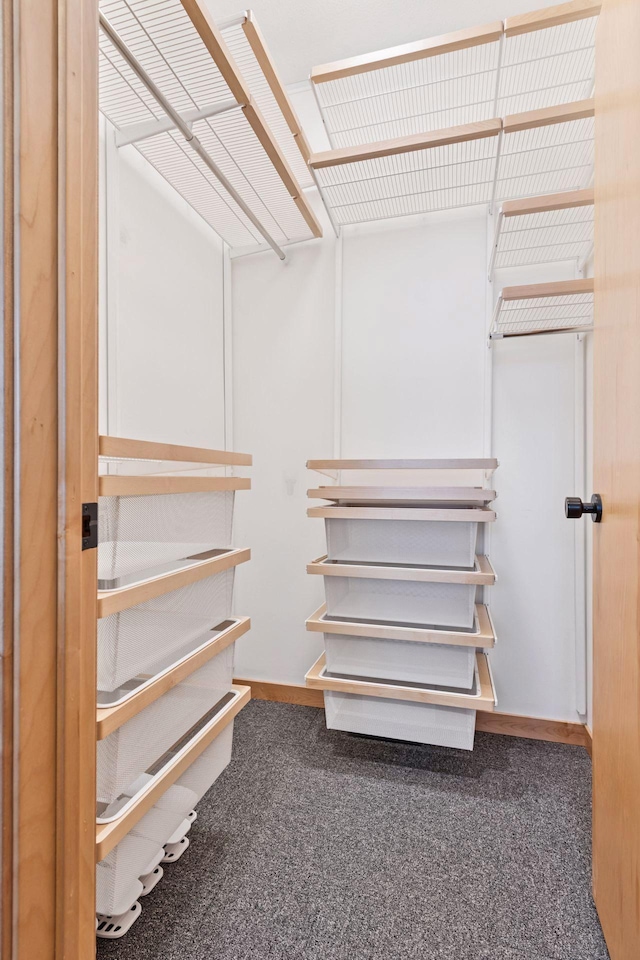 walk in closet with carpet