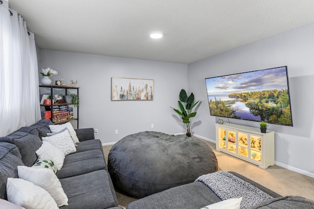 carpeted living area with baseboards and a textured ceiling