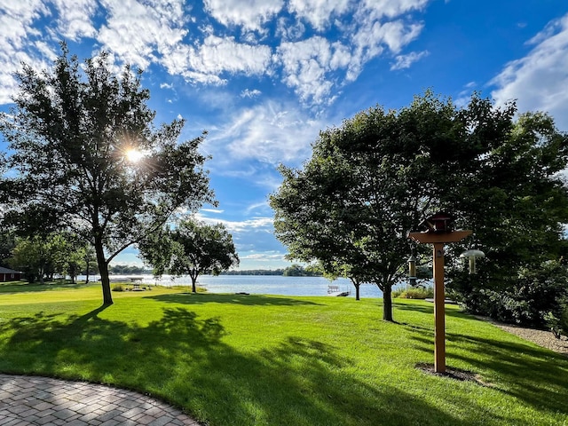 view of community with a water view and a lawn