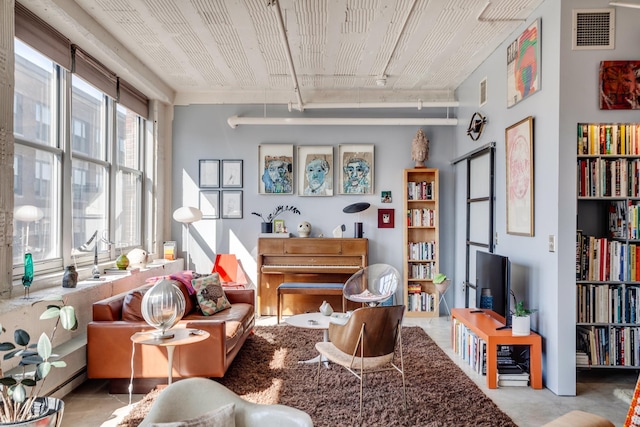 living area featuring visible vents