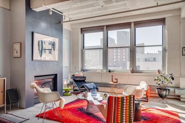 225 9th St E Unit 504, Saint Paul, MN 55101 - living room featuring a glass covered fireplace and rail lighting