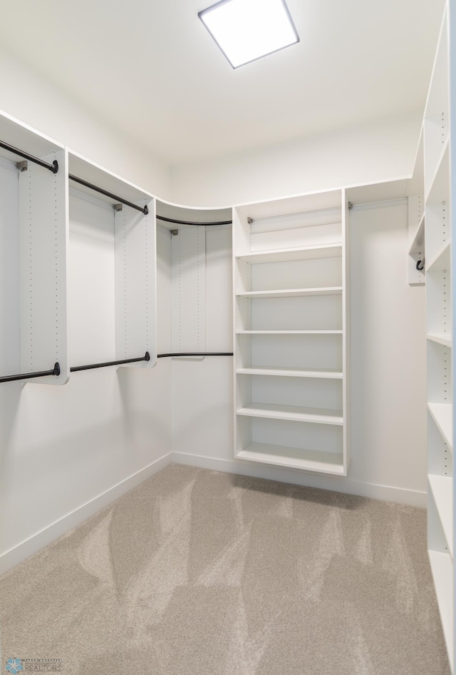 spacious closet featuring light colored carpet