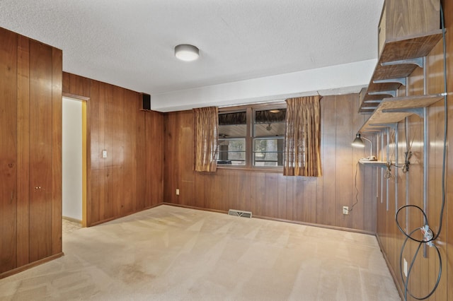 2905 Lake Blvd N, Saint Paul, MN 55109 - spare room with carpet flooring, wood walls, a textured ceiling, and baseboards