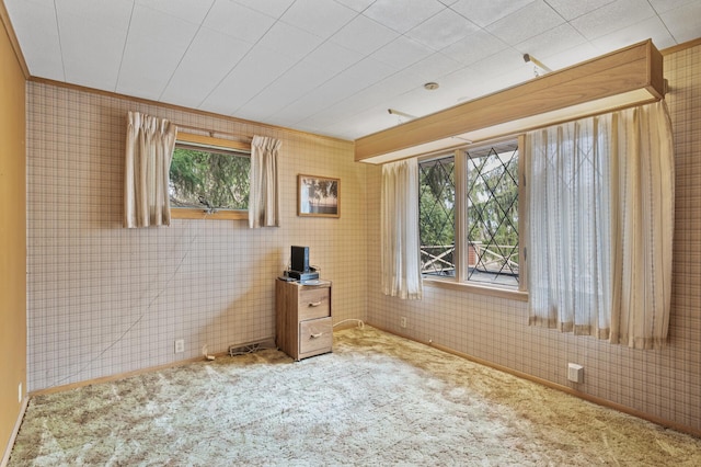 2905 Lake Blvd N, Saint Paul, MN 55109 - view of carpeted empty room
