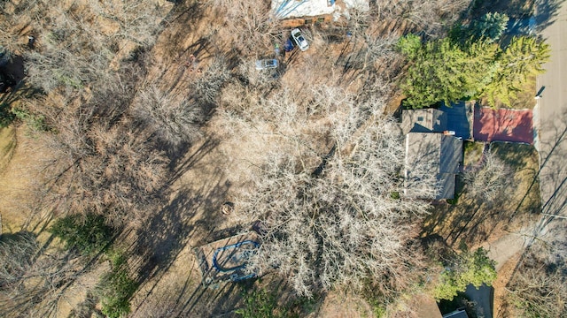 2905 Lake Blvd N, Saint Paul, MN 55109 - aerial view