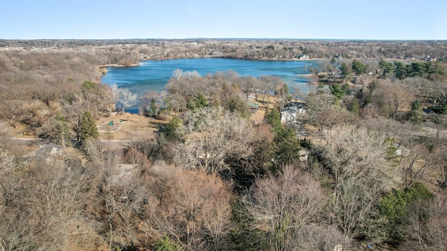 2905 Lake Blvd N, Saint Paul, MN 55109 - aerial view of a large body of water
