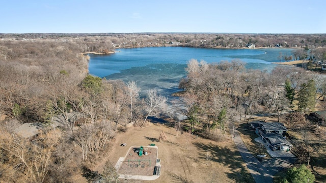 2905 Lake Blvd N, Saint Paul, MN 55109 - bird's eye view of a large body of water