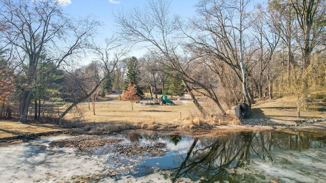 2905 Lake Blvd N, Saint Paul, MN 55109 - view of yard
