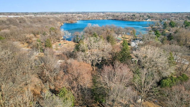 2905 Lake Blvd N, Saint Paul, MN 55109 - bird's eye view of a nearby body of water