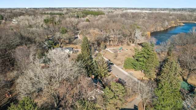 2905 Lake Blvd N, Saint Paul, MN 55109 - bird's eye view of a nearby body of water