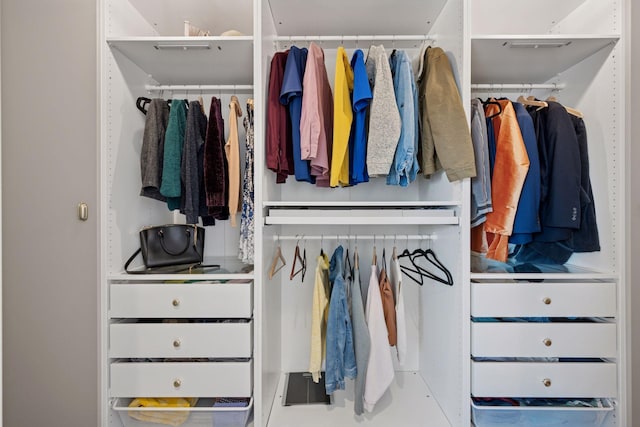 view of closet