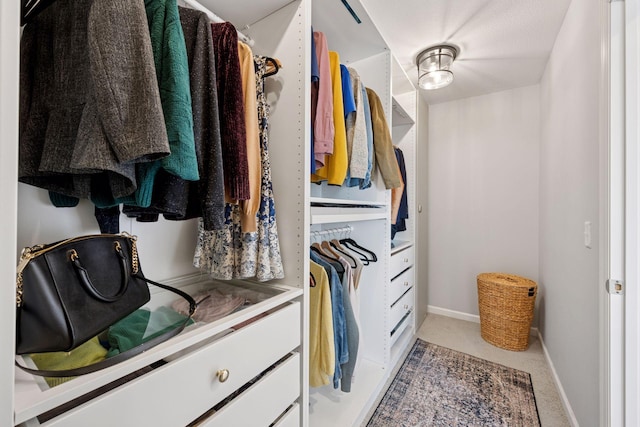 spacious closet featuring carpet floors