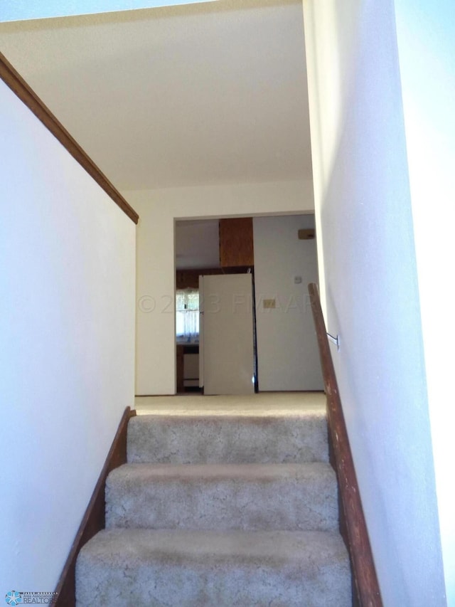 stairway featuring baseboards and carpet flooring