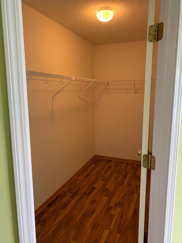 walk in closet with dark wood finished floors