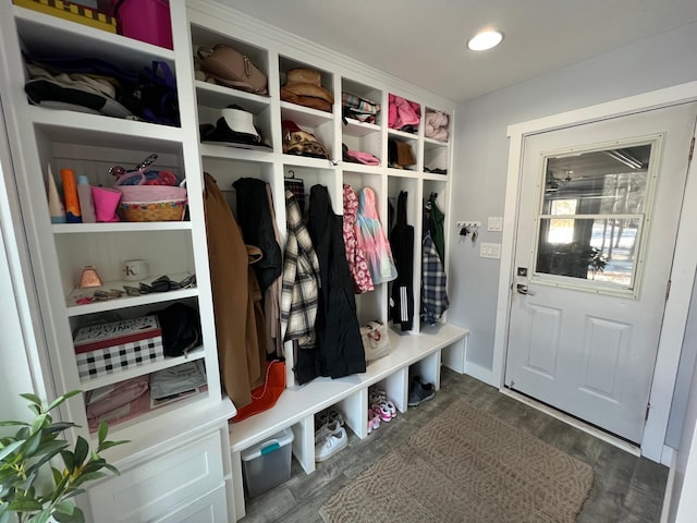 mudroom with dark wood-style floors