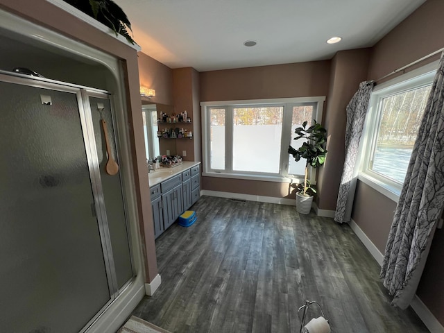 full bathroom with a wealth of natural light, a stall shower, wood finished floors, and vanity